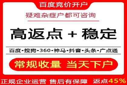 百度竞价排名实战：某电商平台的成功之路